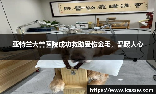 亚特兰大兽医院成功救助受伤金毛，温暖人心